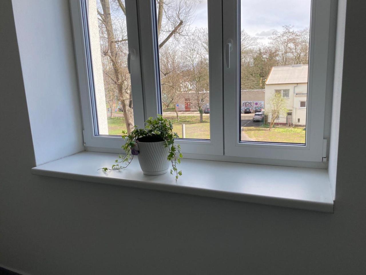 Perla Hradce 103 Leilighet Hradec Králové Eksteriør bilde
